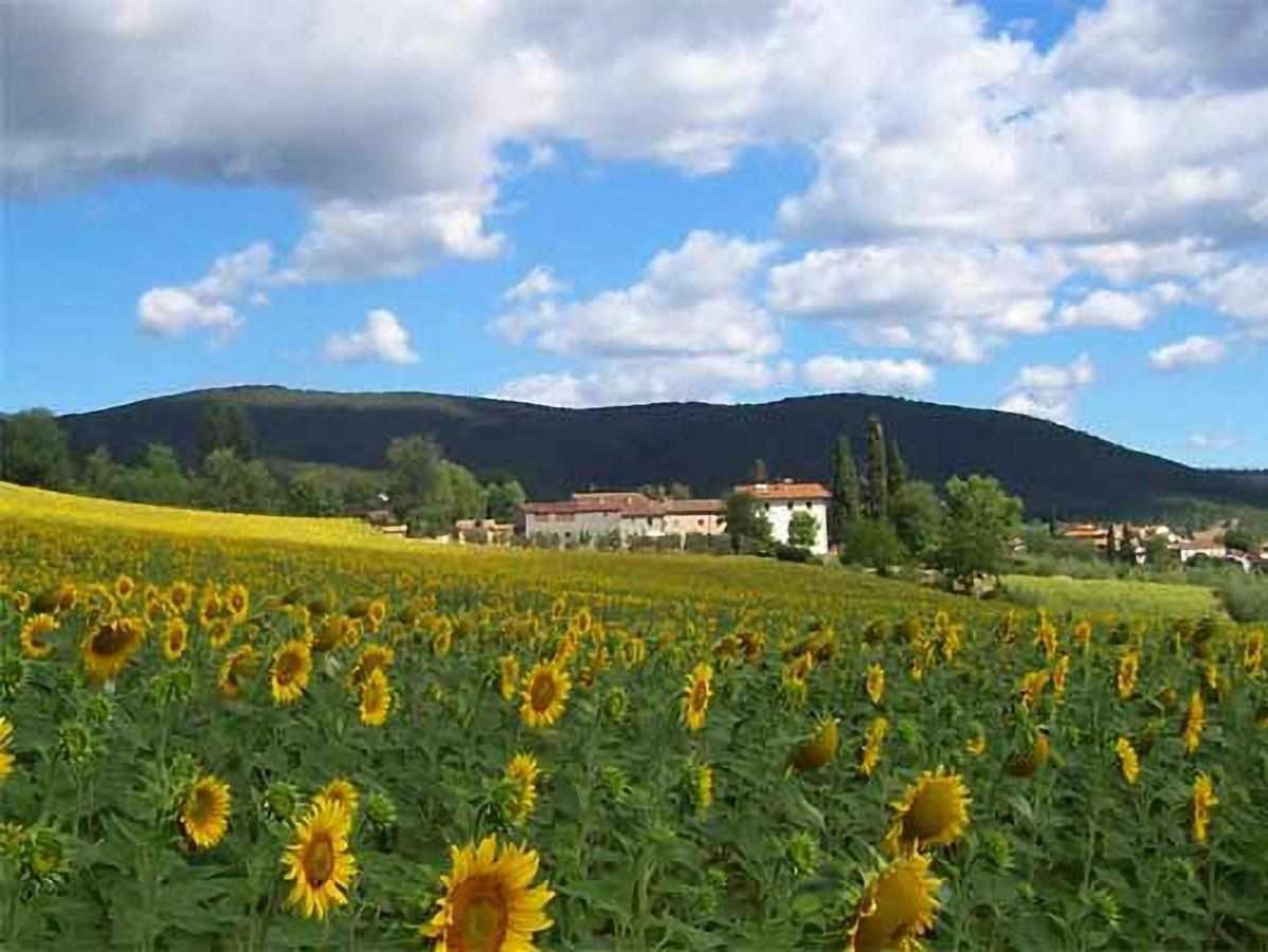 Appartamenti Con Cucina Nelle Colline Toscane Anghiari Luaran gambar