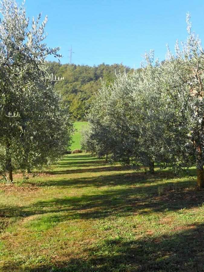 Appartamenti Con Cucina Nelle Colline Toscane Anghiari Luaran gambar